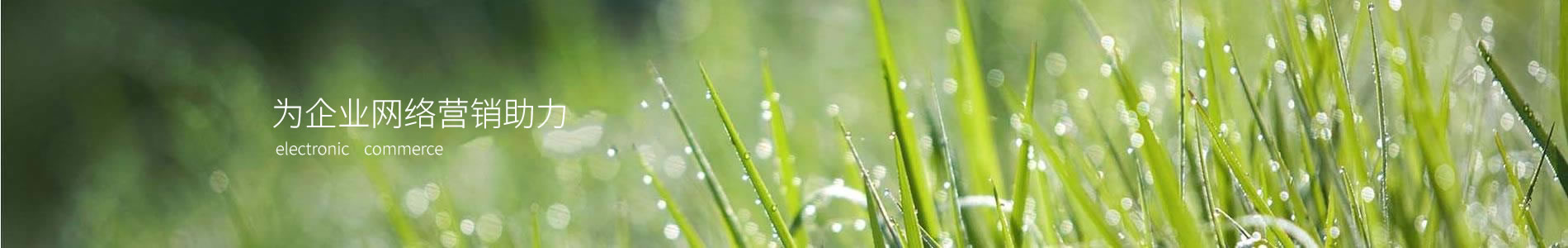 ݸкƾ׼޹˾